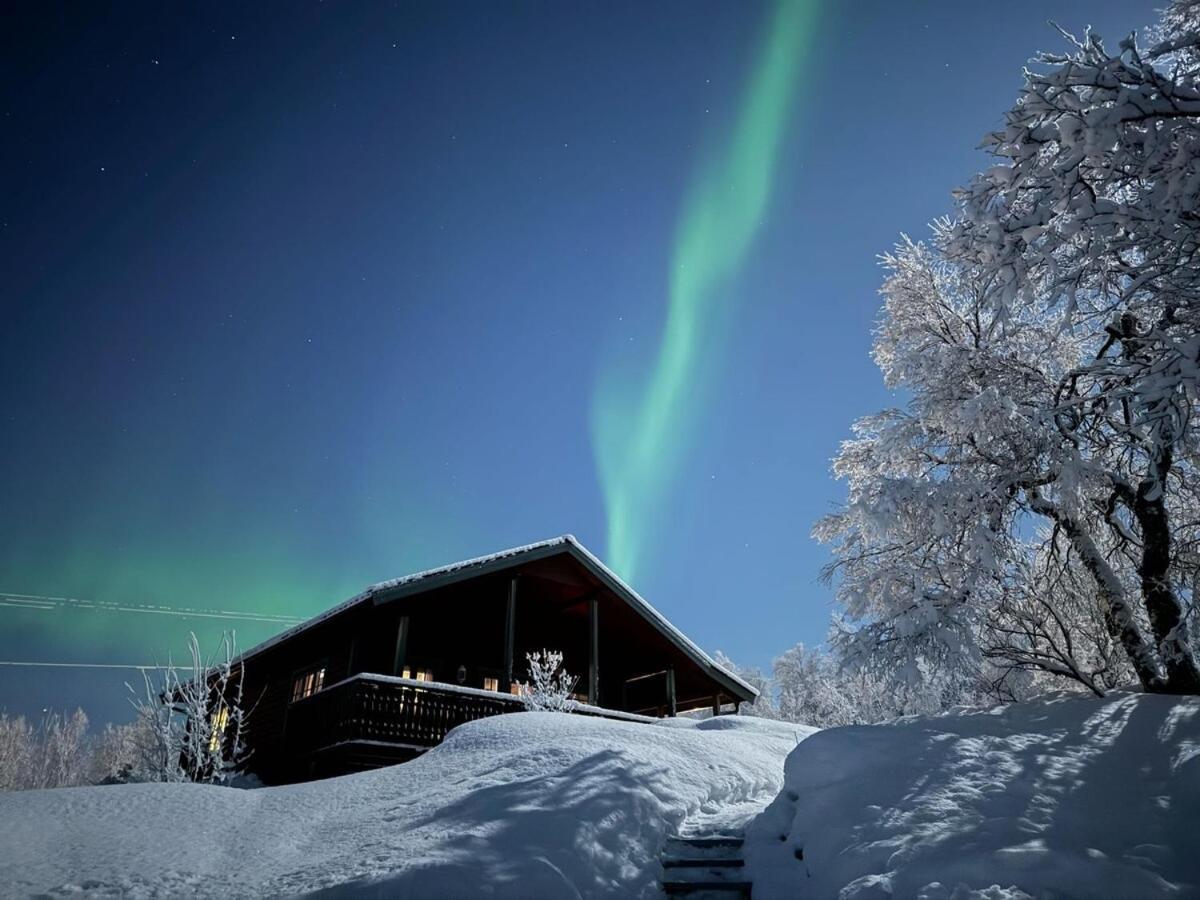 Trivelig Hytte I Senja. Екстериор снимка