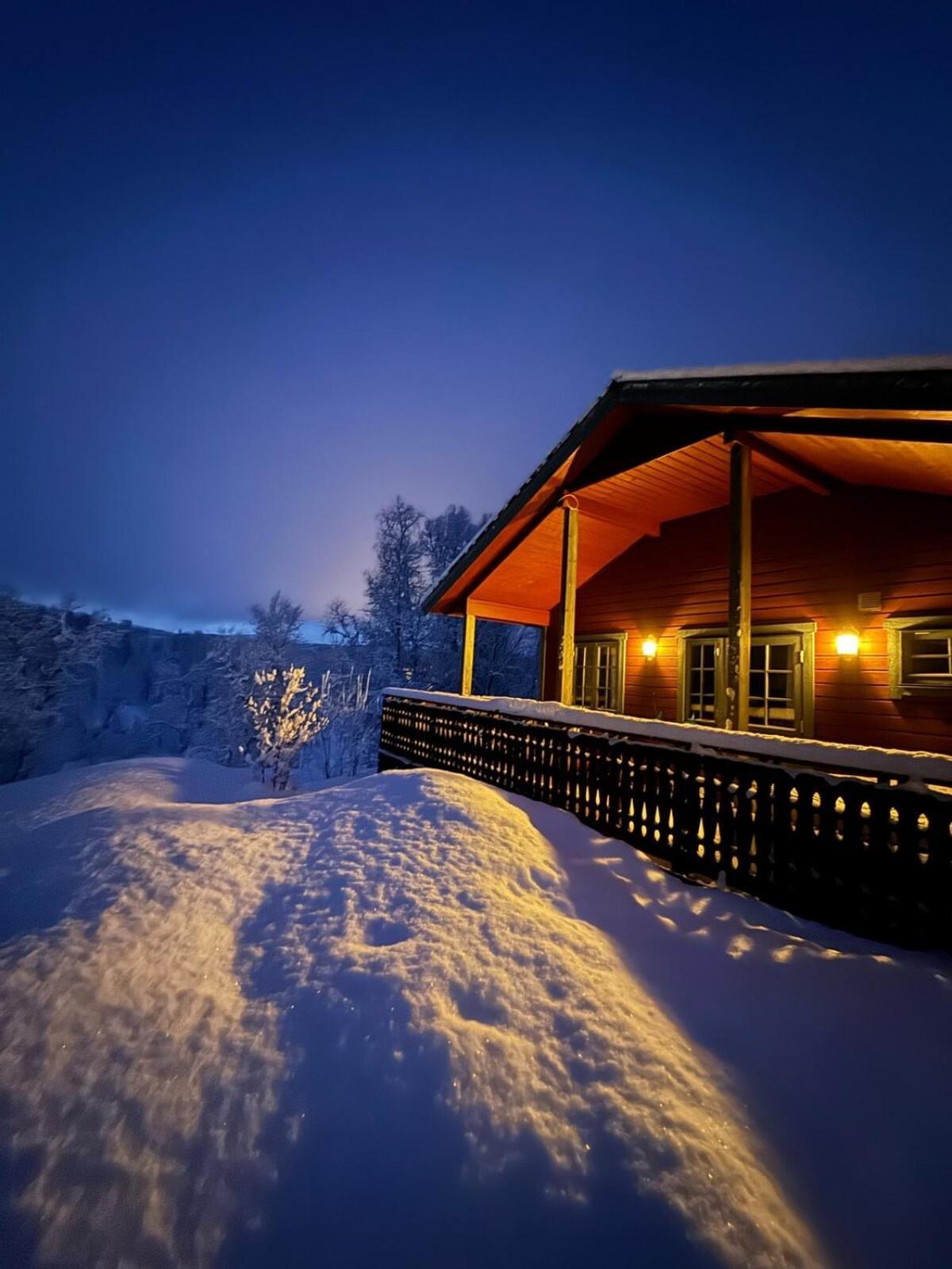 Trivelig Hytte I Senja. Екстериор снимка