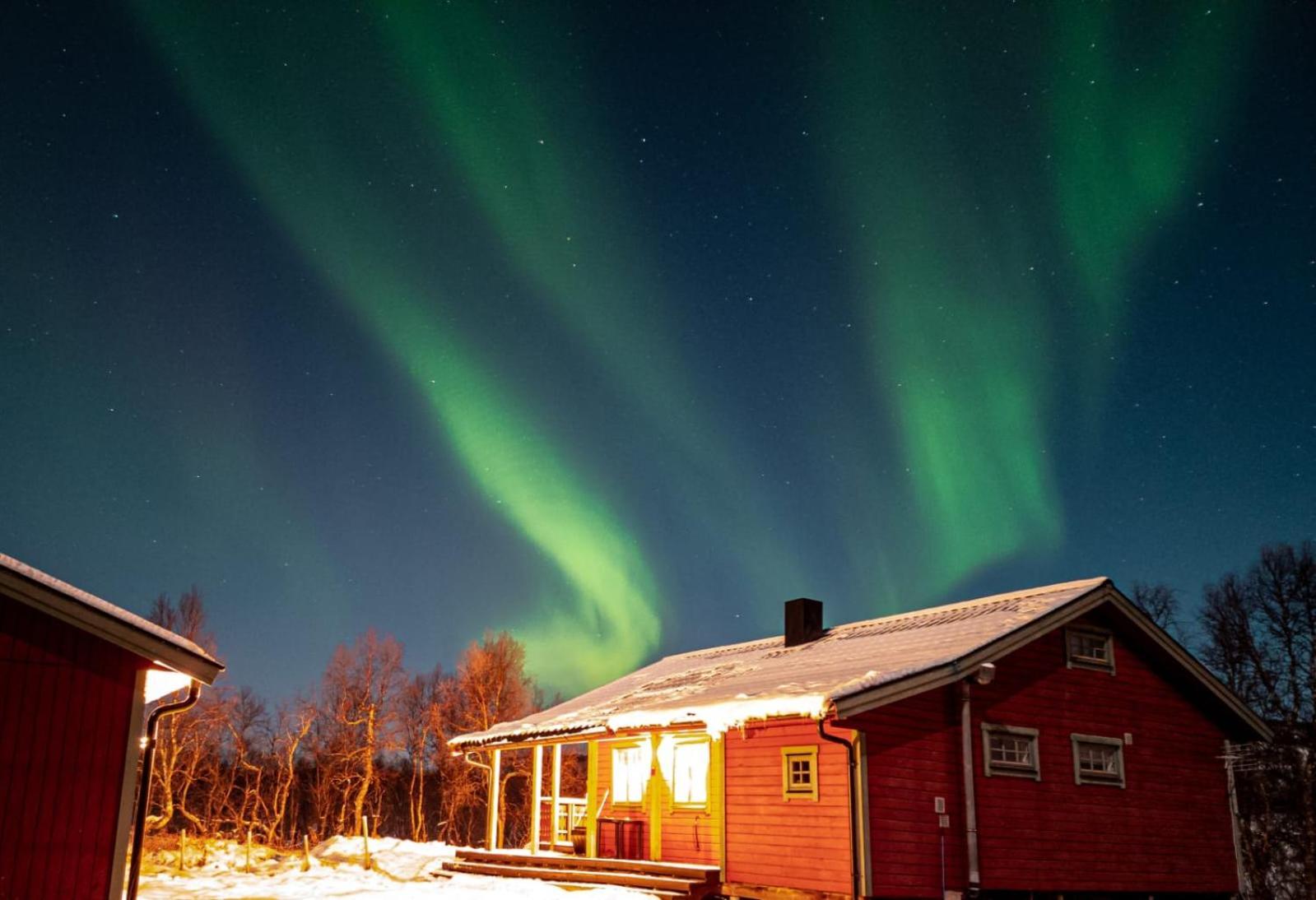 Trivelig Hytte I Senja. Екстериор снимка