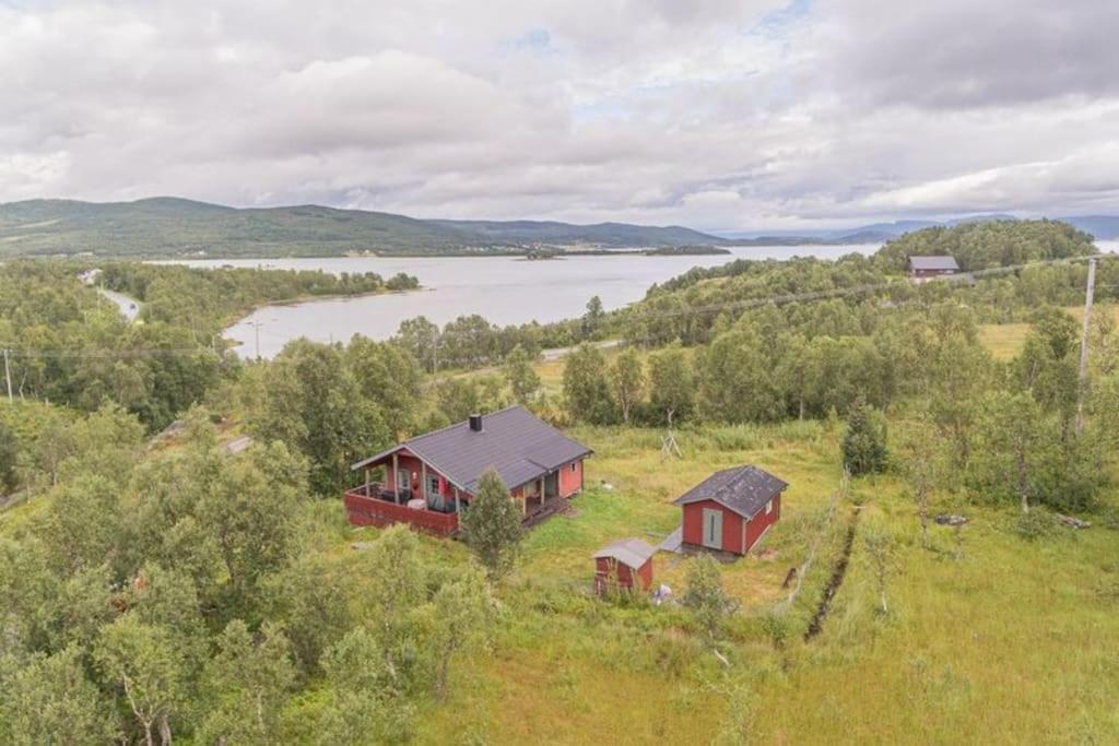 Trivelig Hytte I Senja. Екстериор снимка