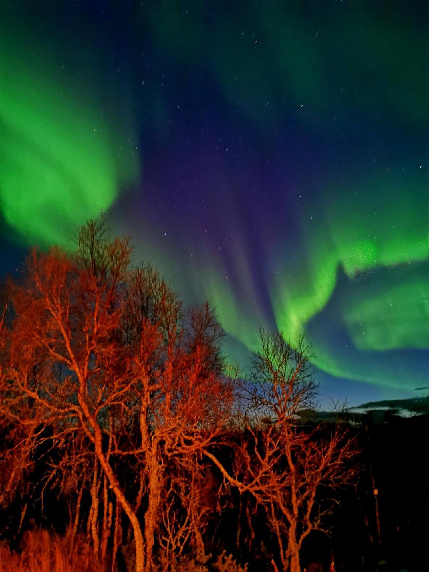 Trivelig Hytte I Senja. Екстериор снимка
